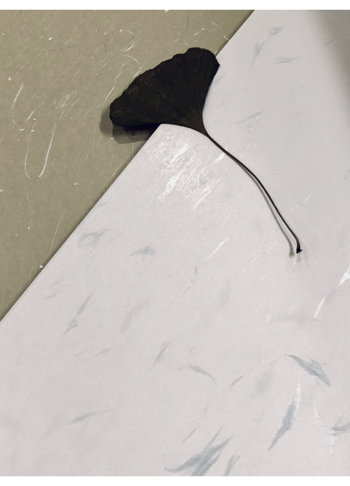 Takeo • 竹尾紙 Takeo • 竹尾紙